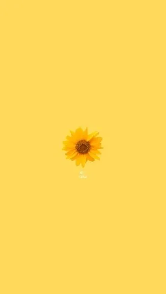 Làm mới trang cá nhân bằng avatar màu vàng cute nhẹ nhàng và xinh xắn. Làm mới trang cá nhân bằng avatar màu vàng cute nhẹ nhàng và xinh xắn.