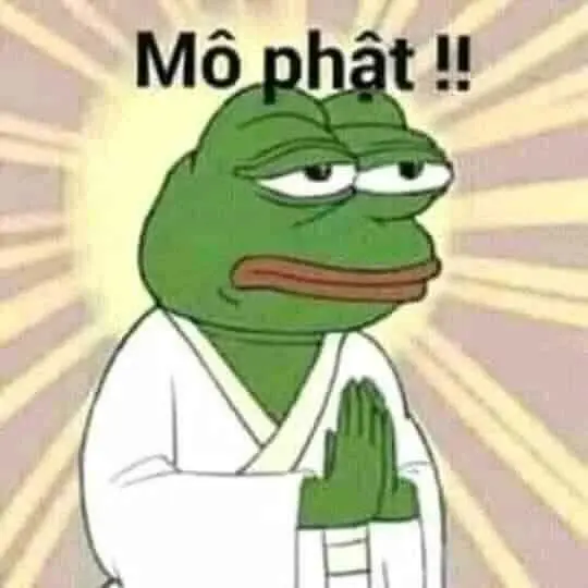 Meme ếch lạy hài hước và thú vị nhất