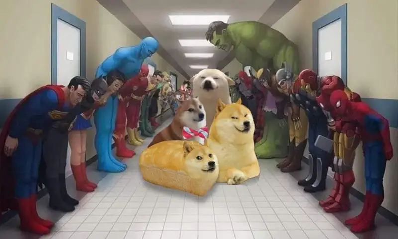 Meme lạy với biểu cảm khó đỡ