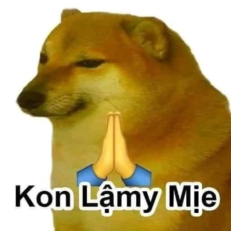 Meme lạy mang đến niềm vui cho mọi người