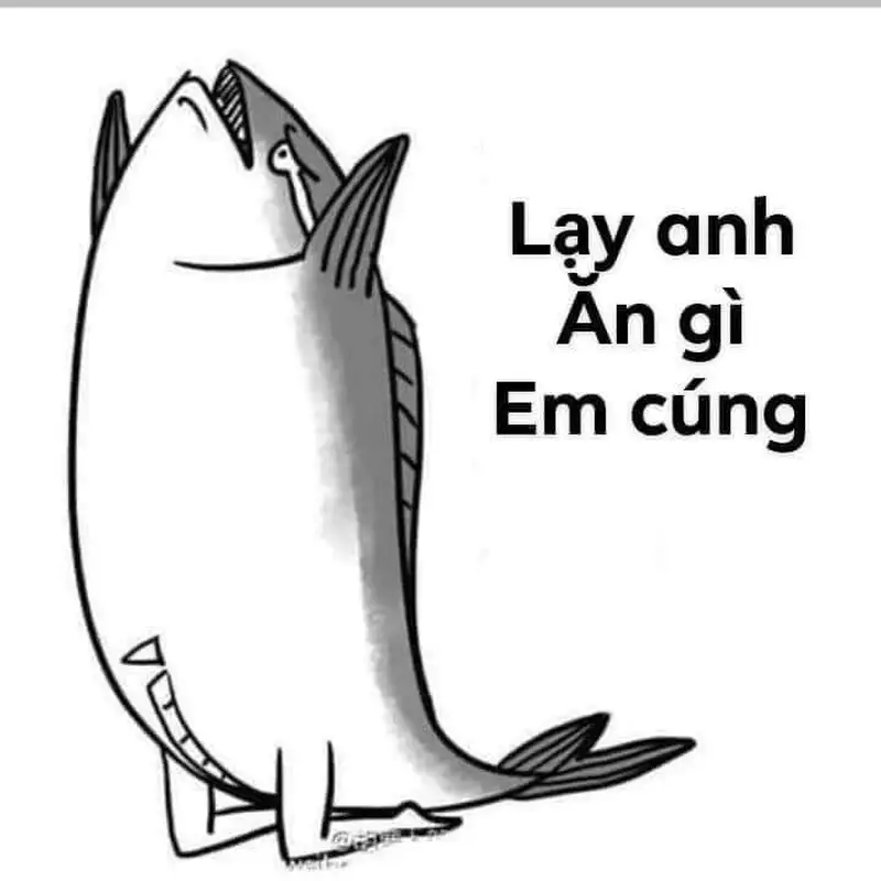 Meme lạy lan truyền rộng rãi trên mạng xã hội