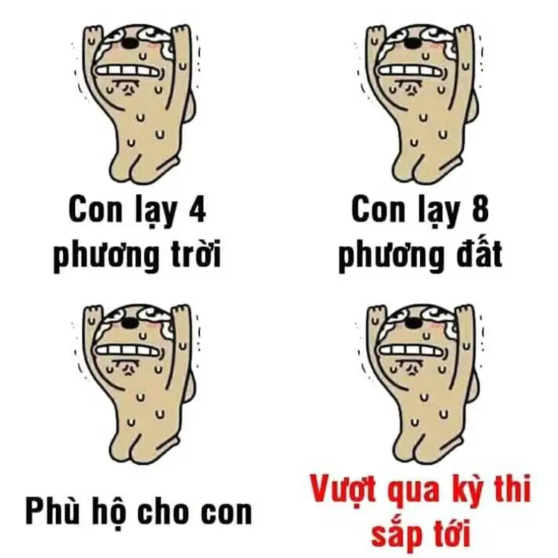 Meme lạy tạo không khí vui nhộn