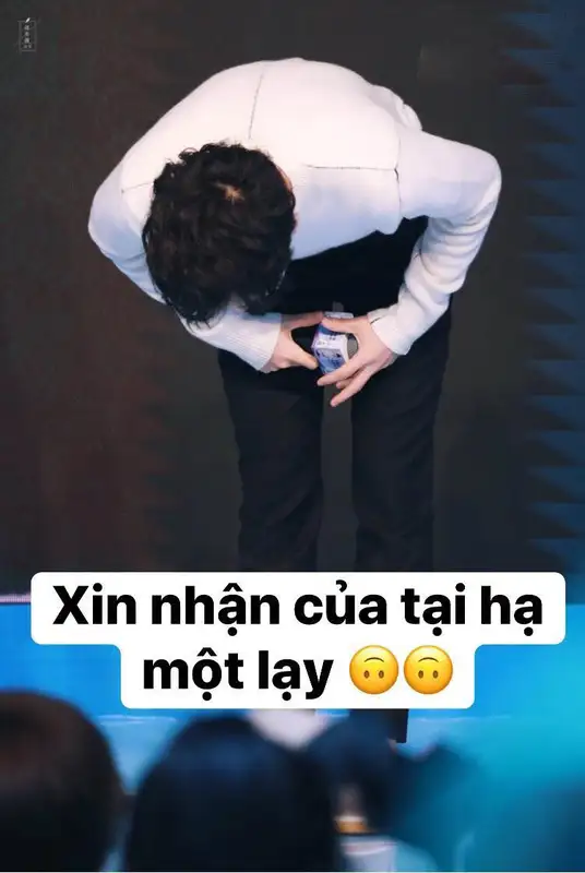 Meme lạy khiến mọi người thích thú