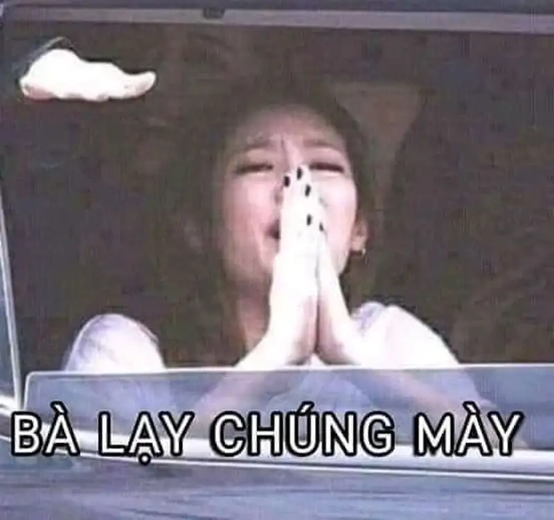 Meme lạy làm người xem cười không ngớt