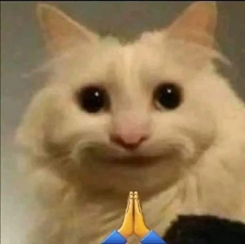 Meme lạy lan truyền tiếng cười