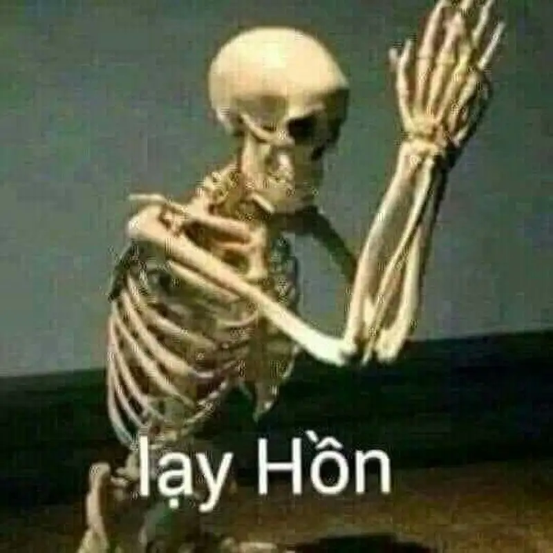 Meme lạy mang lại tiếng cười cho người xem