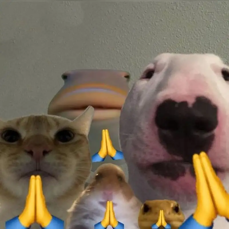 Meme lạy làm người xem không nhịn được cười