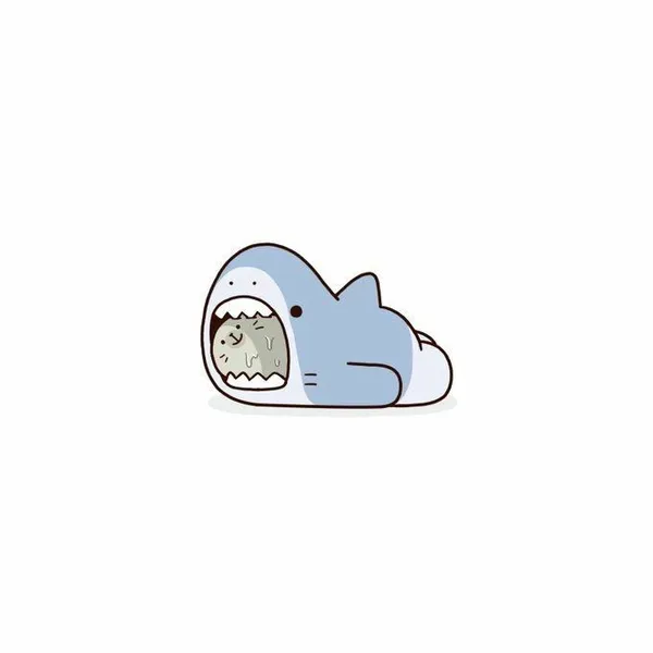 Avatar cá mập cute đáng yêu, làm nổi bật phong cách riêng Avatar cá mập cute đáng yêu, làm nổi bật phong cách riêng
