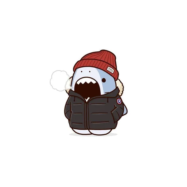 Tỏa sáng phong cách riêng bằng avatar cá mập cute dễ thương Tỏa sáng phong cách riêng bằng avatar cá mập cute dễ thương