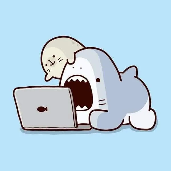 Làm mới hồ sơ cá nhân bằng avatar cá mập cute nổi bật Làm mới hồ sơ cá nhân bằng avatar cá mập cute nổi bật