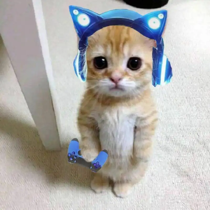 Meme vô tri với biểu cảm vui nhộn