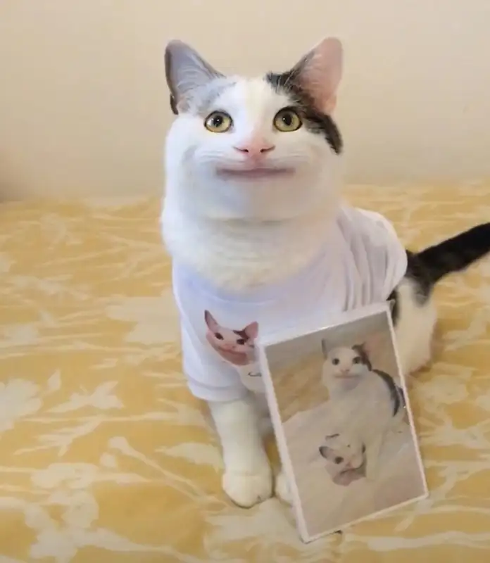Meme vô tri với gương mặt ngây ngô