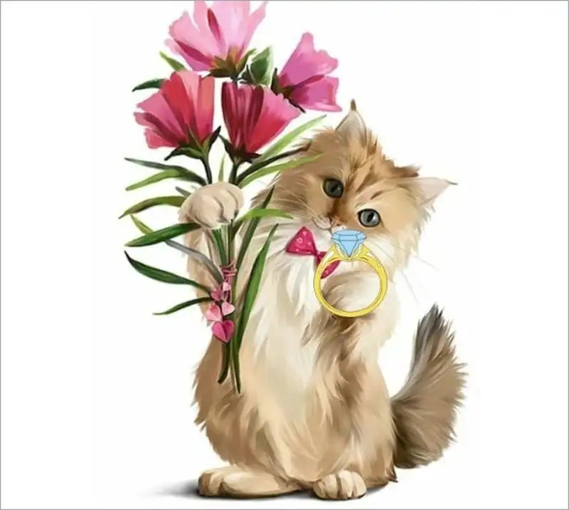 Meme mèo tặng hoa với gương mặt ngộ nghĩnh