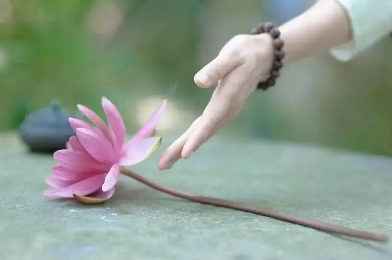 Ảnh đại diện avatar 36
