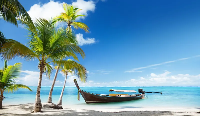 Sự kết hợp hoàn hảo giữa biển cả và thiên nhiên hoang sơ.