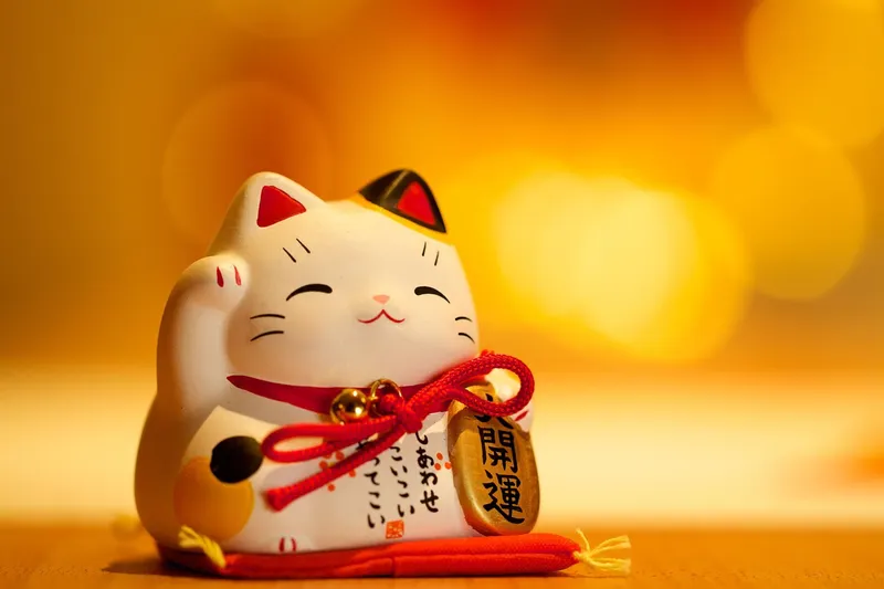 Hình nền mèo thần tài dễ thương, làm sáng bừng màn hình
