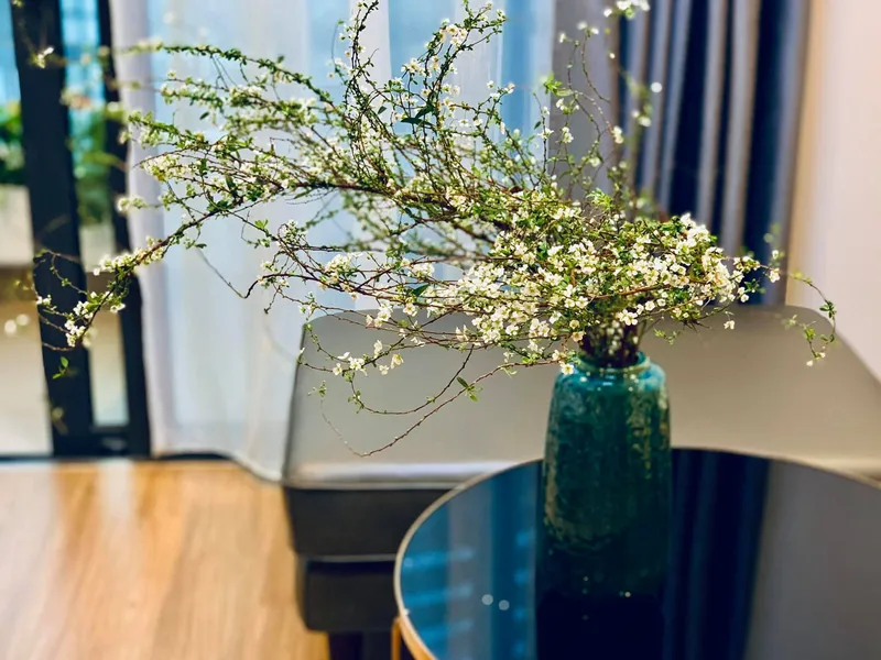 Cận cảnh hoa tuyết mai đẹp mắt