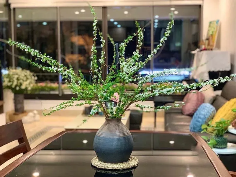 Hoa tuyết mai đầy sức sống