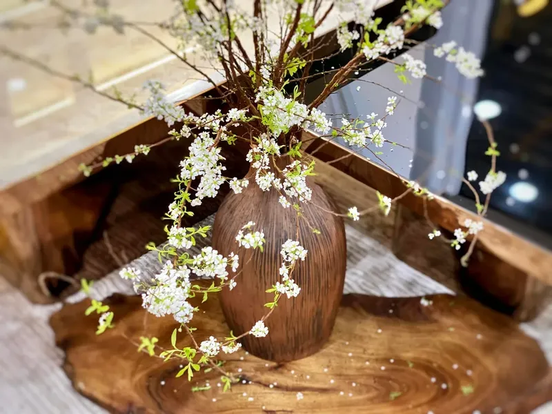 Cụm hoa tuyết mai trong nắng sớm