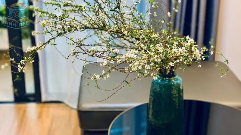Hoa tuyết mai giữa trời xanh