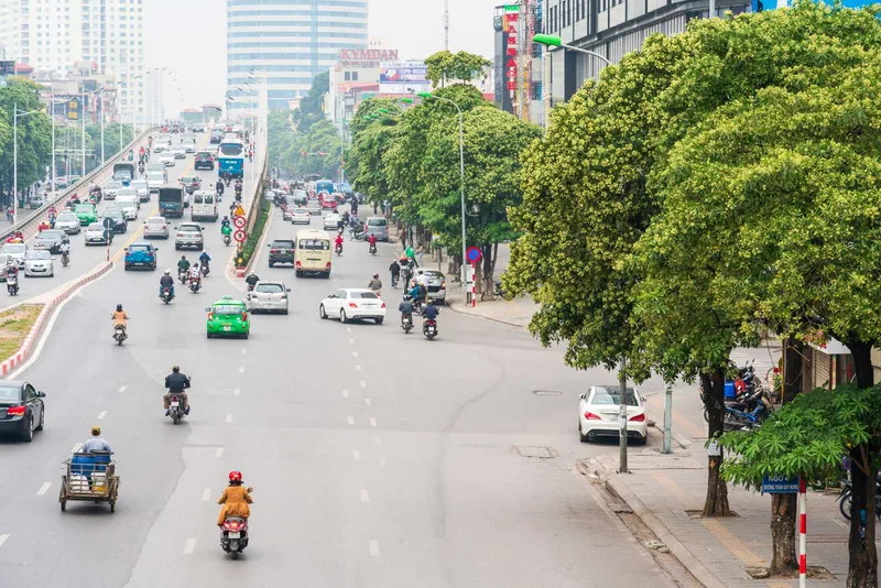 Hoa sữa đang khoe sắc bên đường Hoa sữa đang khoe sắc bên đường