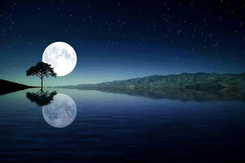 Chìm đắm trong sự yên bình của hồ nước lấp lánh ánh trăng.