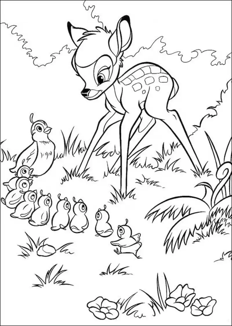 Tô màu Bambi và các nhân vật phụ