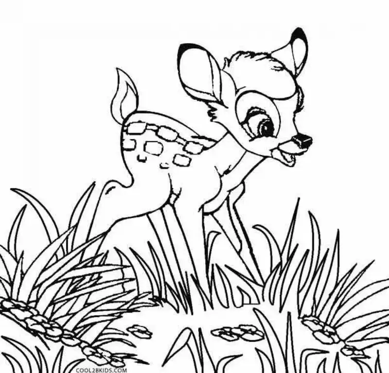 Bộ sưu tập tranh tô màu Bambi đẹp nhất