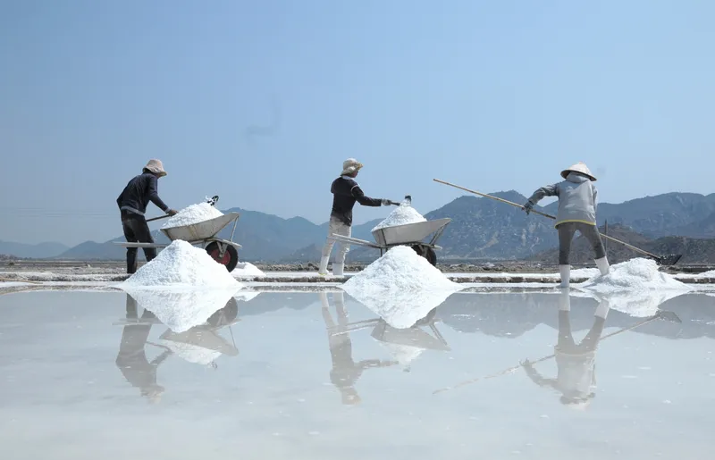 Đồng muối trắng xóa - nơi lưu giữ dấu ấn của người lao động. Đồng muối trắng xóa - nơi lưu giữ dấu ấn của người lao động.