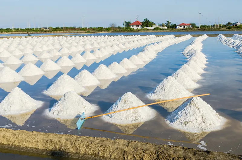 Một góc phong cảnh đồng muối trắng xóa đầy cảm hứng. Một góc phong cảnh đồng muối trắng xóa đầy cảm hứng.