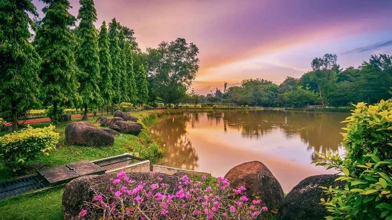 Hình nền sông suối mùa xuân, đem lại cảm giác thanh bình và mát mẻ