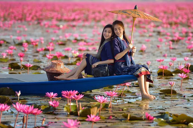 Hoa súng đong đưa nhẹ nhàng trên mặt nước Hoa súng đong đưa nhẹ nhàng trên mặt nước