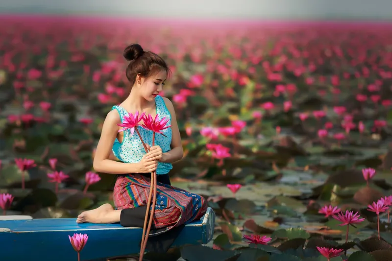 Một đầm hoa súng nở rộ giữa thiên nhiên Một đầm hoa súng nở rộ giữa thiên nhiên