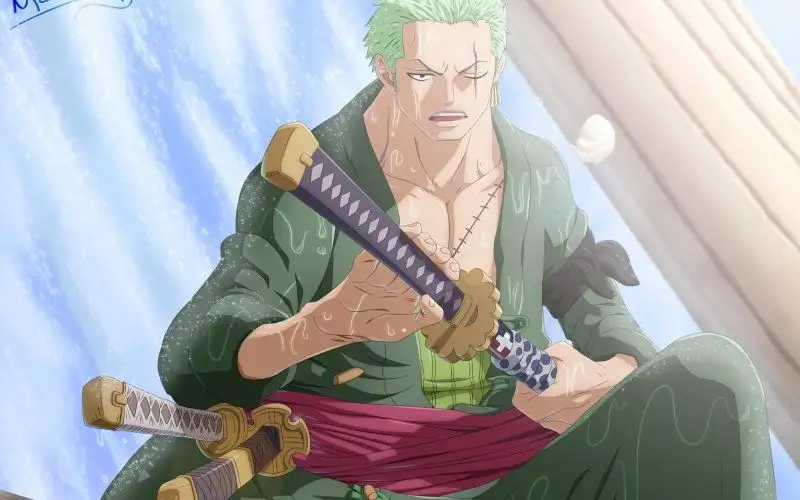 Hình ảnh Roronoa Zoro được thiết kế độc quyền từ họa sĩ nổi tiếng Hình ảnh Roronoa Zoro được thiết kế độc quyền từ họa sĩ nổi tiếng