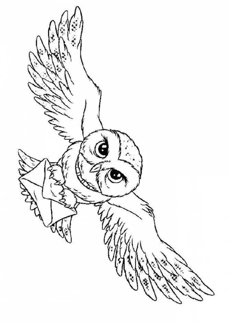 Tranh tô màu Harry Potter với các chi tiết tinh tế Tranh tô màu Harry Potter với các chi tiết tinh tế