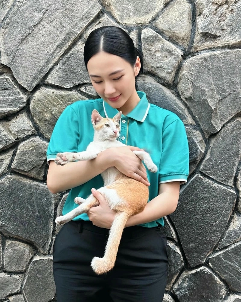 Xem lại loạt phim đình đám Phim Angela Phương Trinh