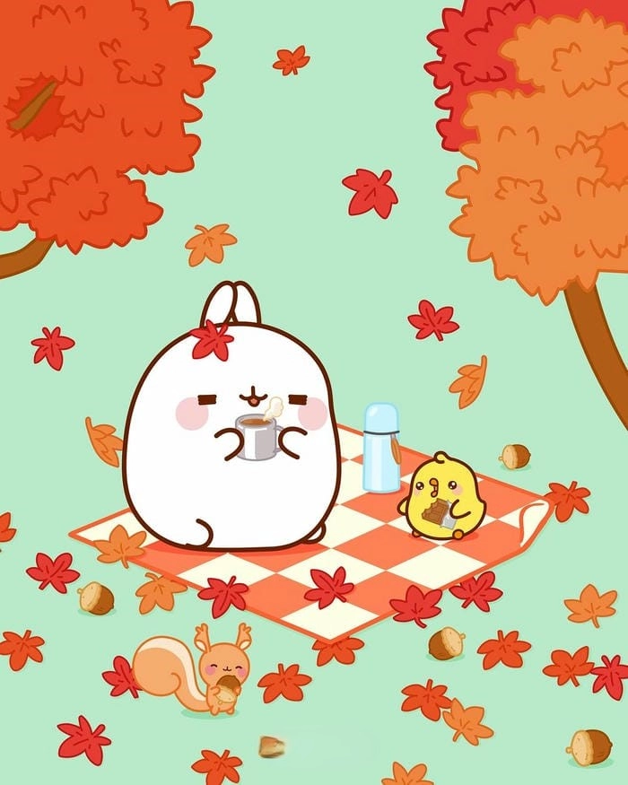 Tìm hiểu ngay cà rốt chibi thỏ cute siêu yêu