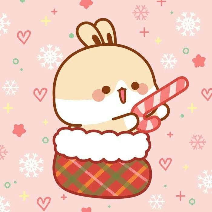 Chiêm ngưỡng ngay con thỏ cute siêu dễ thương