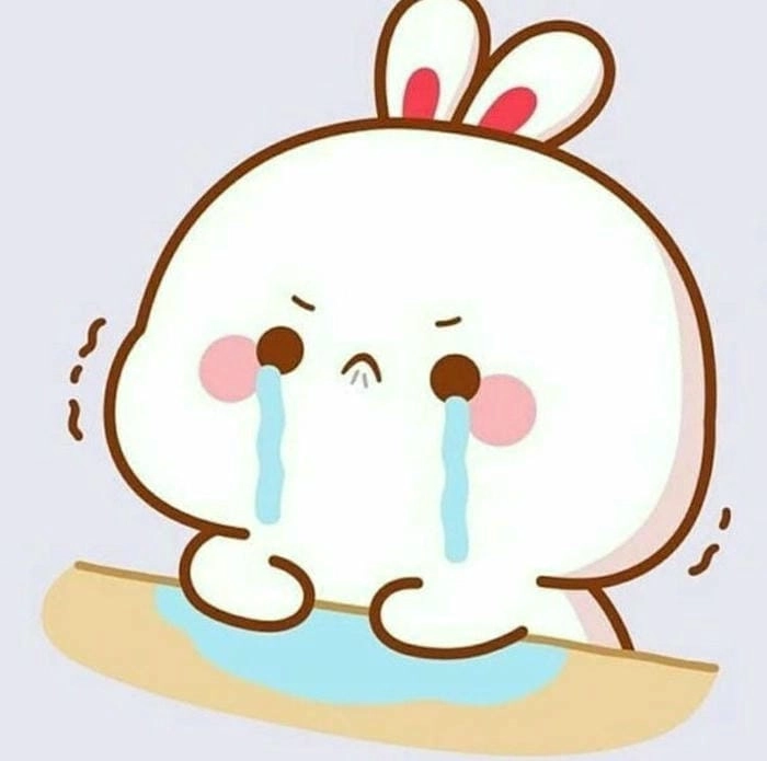 Khám phá ngay con thỏ cute phô mai que siêu yêu