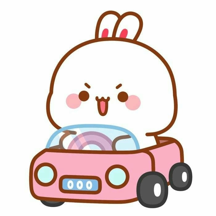 Tuyển tập những hình con thỏ cute đẹp