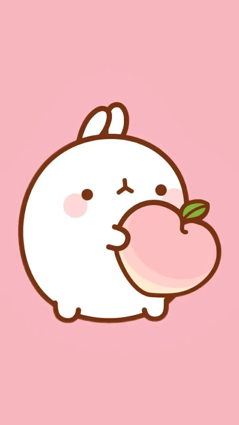 Hình gấu thỏ siêu dễ thương gấu thỏ cute hình chibi