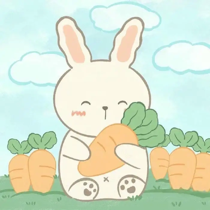 Khám phá thế giới thỏ hoạt hình cute