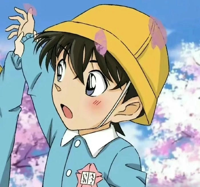 Tổng hợp conan chibi ảnh conan cute