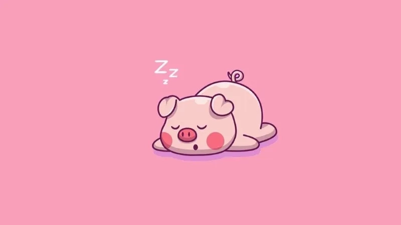 Bộ ảnh heo con siêu yêu hình heo con dễ thương chibi