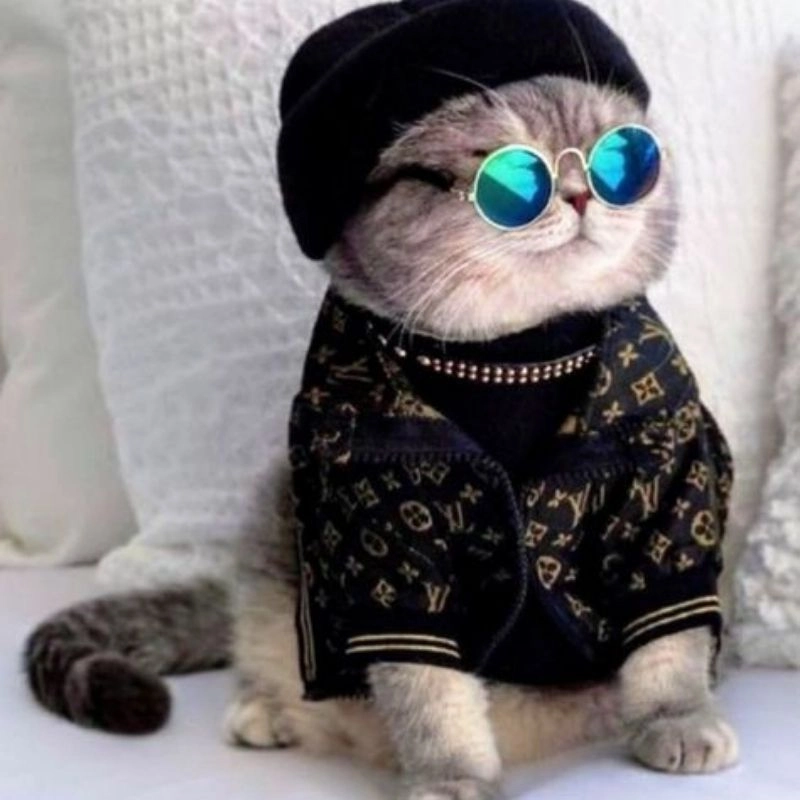 Sưu tầm ngay hình ảnh chibi mèo đẹp ngộ nghĩnh