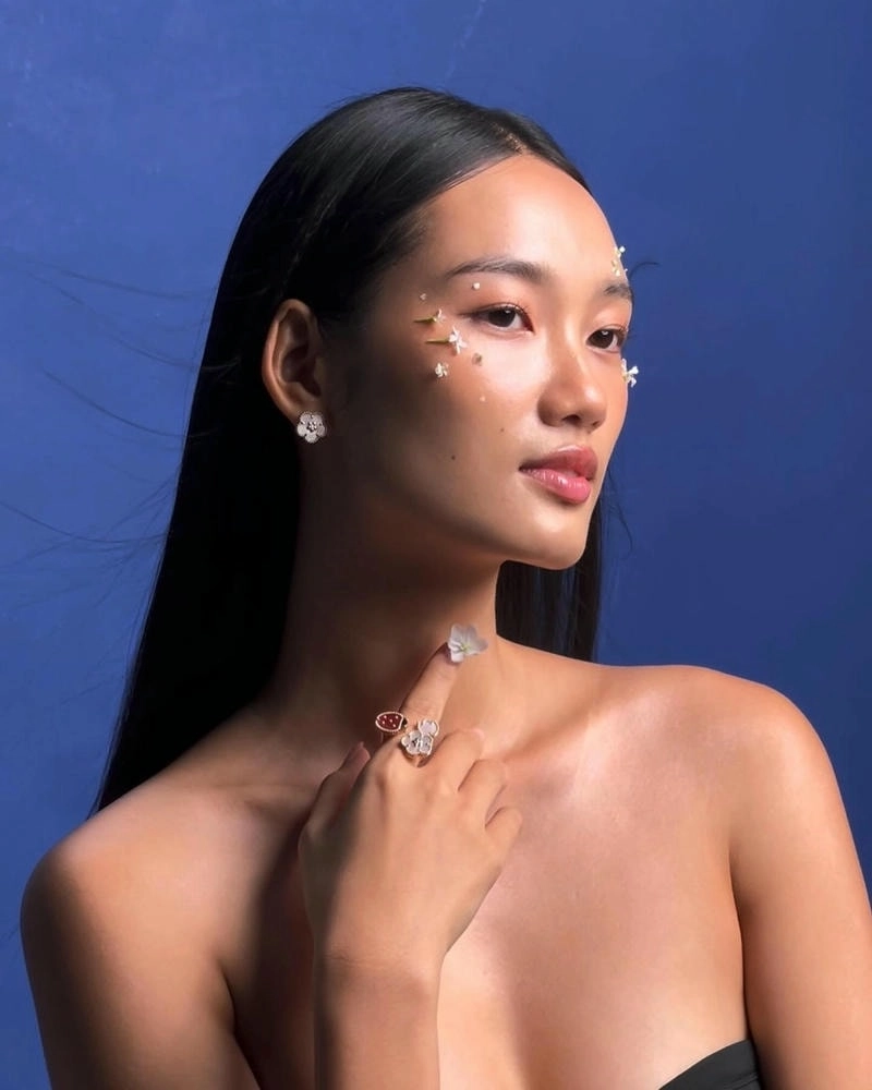 Cùng tìm hiểu về Nguyễn Quỳnh Anh Miss Universe