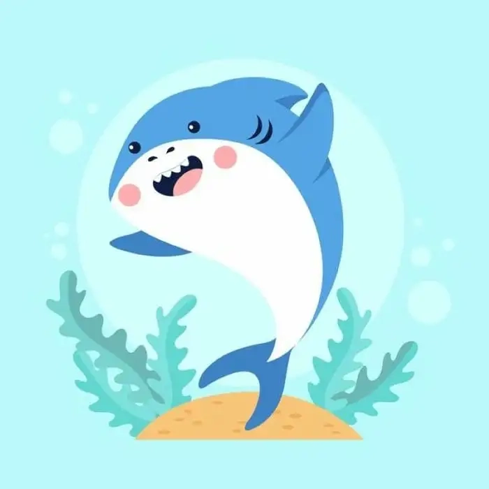 Avatar cá mập chibi dùng cho mạng xã hội