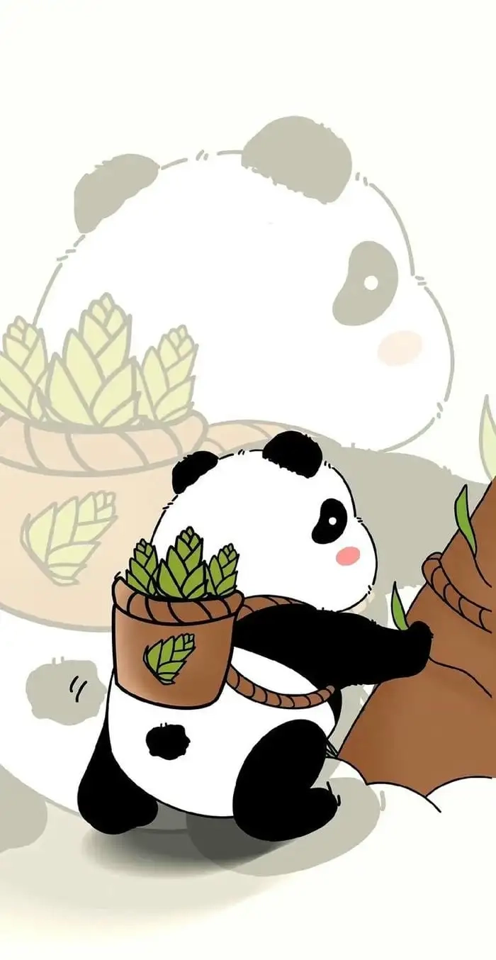 Ảnh gấu trúc chibi được yêu thích trên mạng xã hội