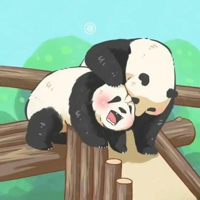 Ảnh gấu trúc cute chibi phù hợp làm ảnh nền cực xinh