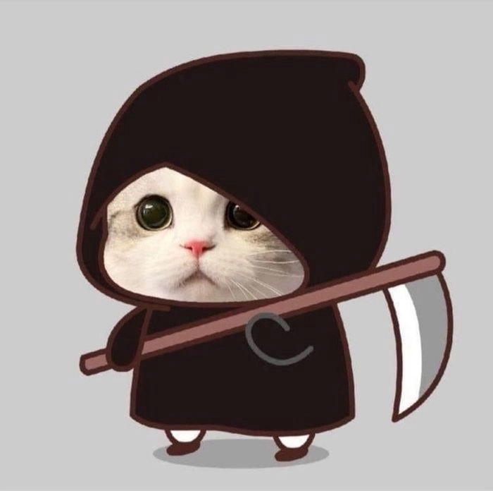 Avatar cute mèo chibi mập đôi siêu hợp cho bạn thân